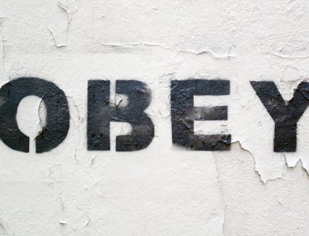 Shepard Fairey aka OBEY